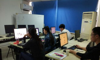 高级电子商务运营班 驱动电商经营的智慧引擎