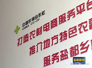 供销社电商转型记 日销200单背后的运营智慧